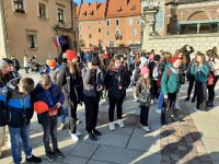 Zdjęcie od Wiesiek(7)