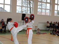 IMG 8856