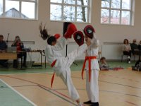 IMG 8858