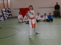 IMG 8861