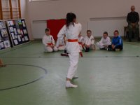 IMG 8862