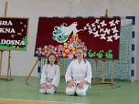 IMG 8893