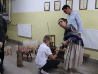 IMG 7008