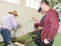 IMG 7097